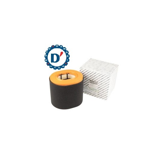 FILTRO ARIA MOTORE D204 D110 H180 FIAT DUCATO (250) 2.2 D