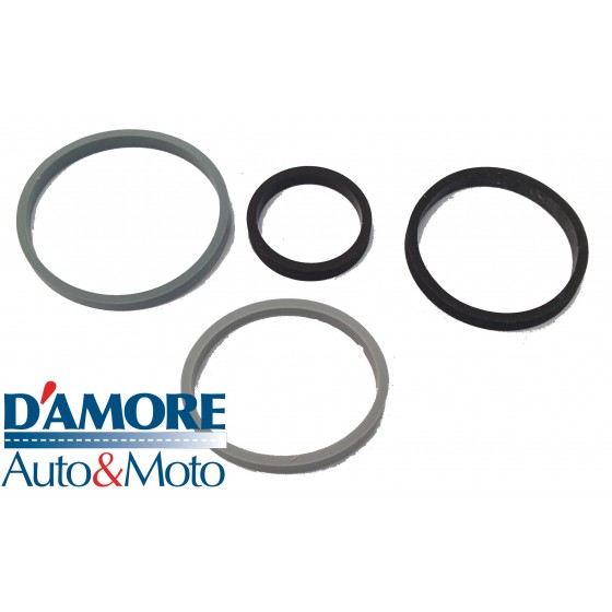 KIT GUARNIZIONI RADIATORE OLIO FORD CITROEN C3 C4 DS3 FORD FIESTA VI PEUGEOT 206 307 1.4 HDI 1.6 HDI SCAMBIATORE CALORE