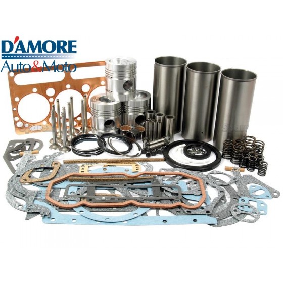 KIT REVISIONE MOTORE PERKINS AD3.152 40391
