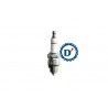 CANDELA ACCENSIONE CHAMPION L81Y PASSO CORTO