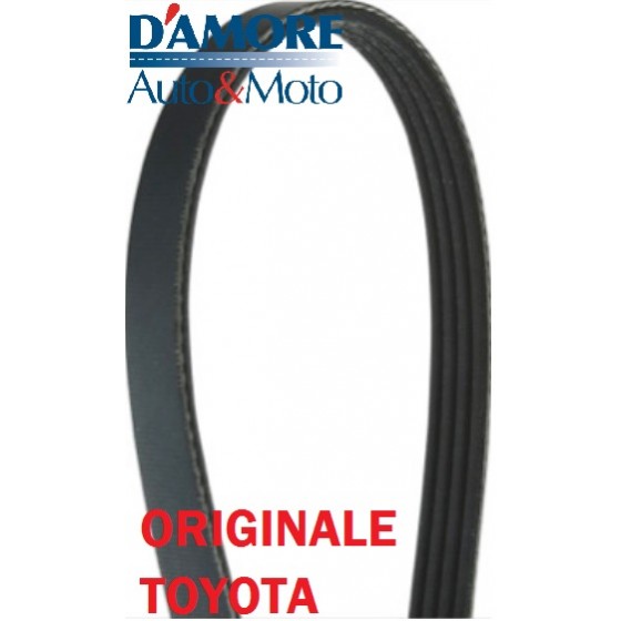 CINGHIA POLI V K4 1580