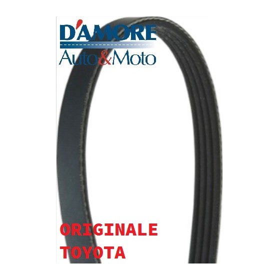 CINGHIA POLI V K4 860