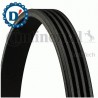 CINGHIA POLI V K4 867 ELASTICA