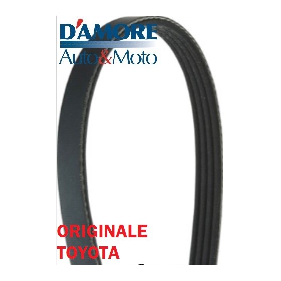 CINGHIA POLI V K5 1190