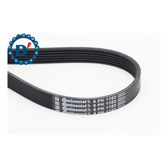 CINGHIA POLI V K6 1153