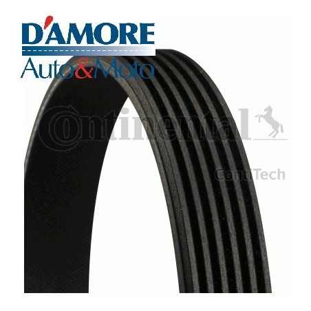 CINGHIA POLI V K6 1165