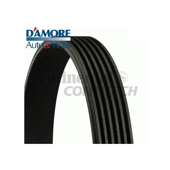 CINGHIA POLI V K6 1200