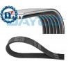 CINGHIA POLI V K6 684 ELASTICA