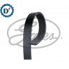 CINGHIA POLI V K7 1338